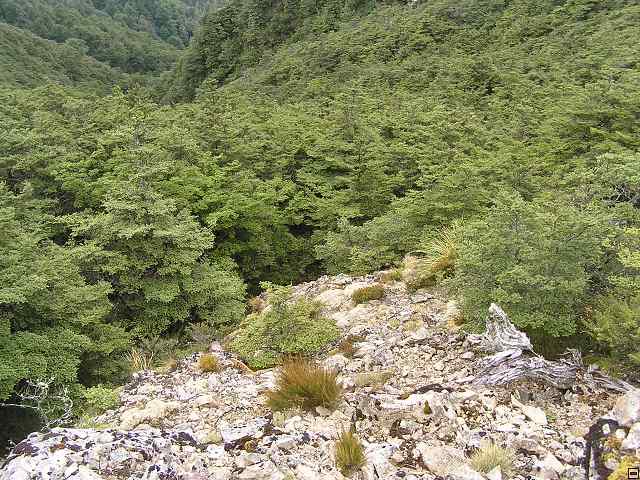 NZ leden-unor 2006 177.jpg